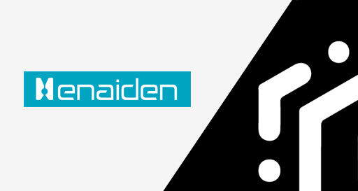Nueva pagina web para Enaiden